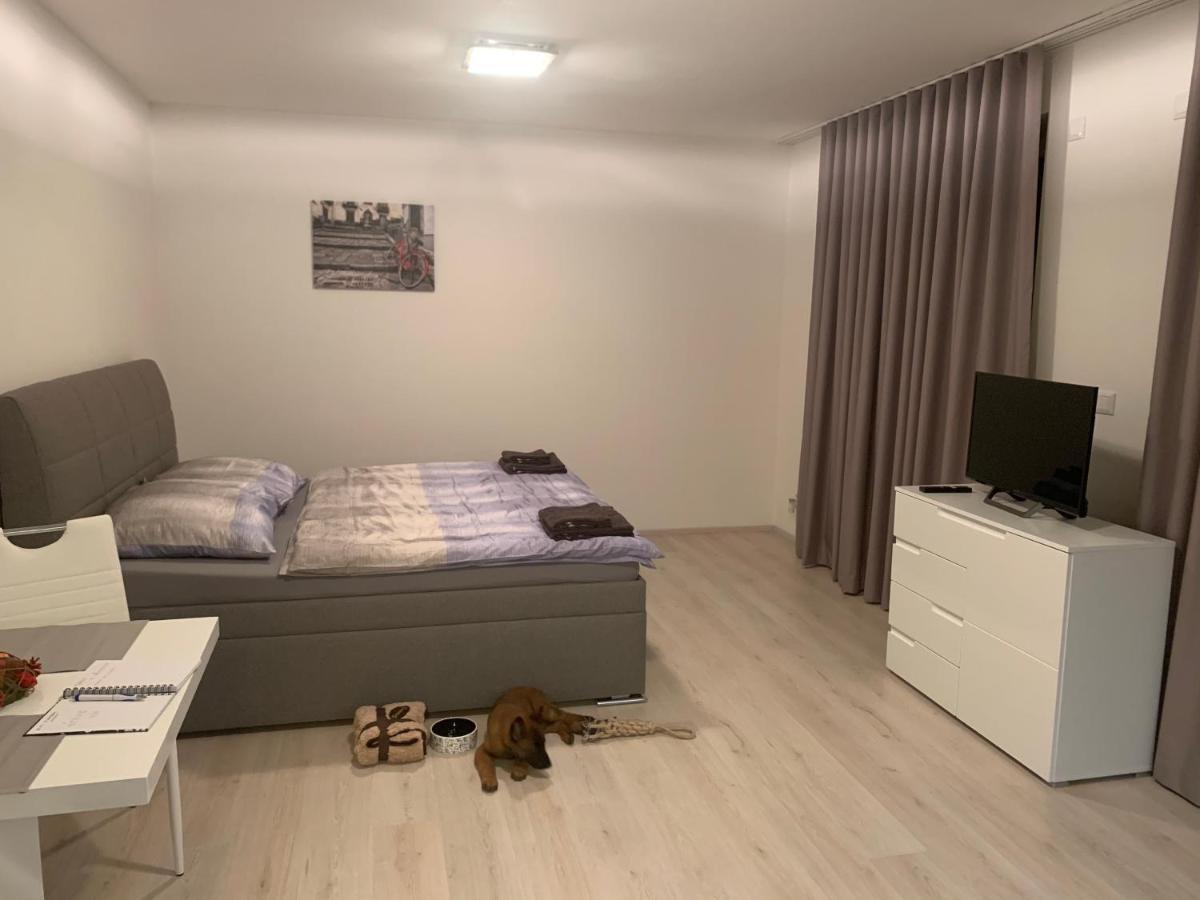 Modern Apartment In The City Center Plzeň Exteriör bild